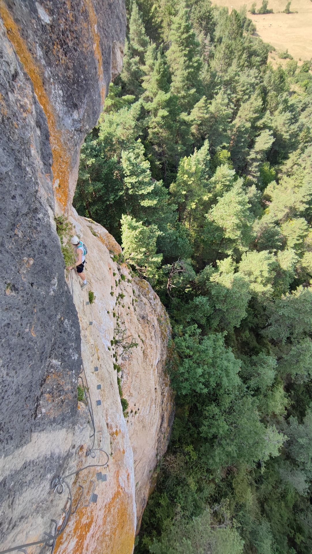 Paroi rocheuse au-dessus de la forêt à La Canourgue.